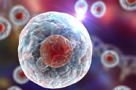 Inilunsad ng BABIO ang de-kalidad na Giemsa Stain B Solution para sa Advanced na Cytogenetic at Hematologic Diagnostics