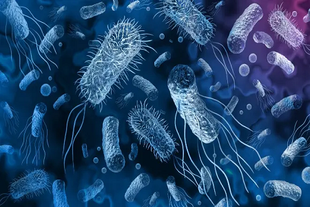 Inilunsad ng Babio ang Vibrio Cholerae Rapid Antigen Detection Kit