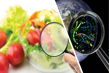 Inilunsad ng BABIO ang Aflatoxin B1 Rapid Test Cassette para sa Global Food Safety Control