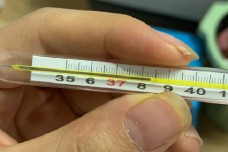 Rapid Antigen Combo Test: COVID-19, Flu A/B, at RSV