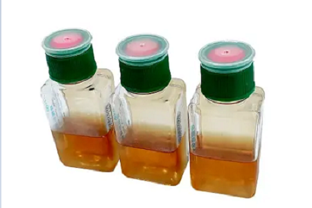 Ang BABIO Blood Culture Bottles ay Sumusuporta sa Mas Mabilis, Mas Maaasahang Detection ng Bloodstream Infections