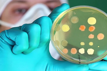 Trypticase Soy Broth: Isang Maaasahang Foundation para sa Microbial Growth