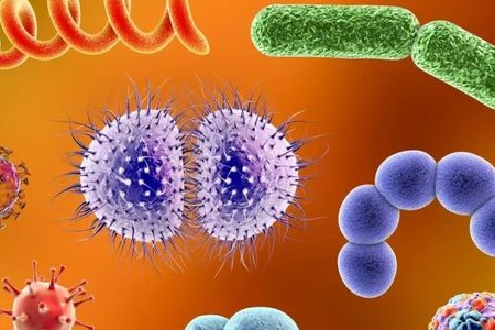 Inilunsad ng BABIO ang Salmonella Shigella Enrichment Medium para sa Maaasahang Enteric Pathogen Transport