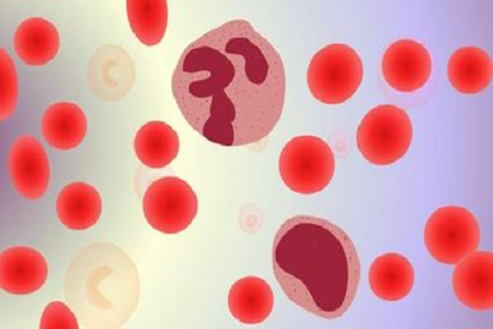 Inilunsad ng BABIO ang HBcAb Hepatitis B Core Ab Rapid Test para sa Global Markets