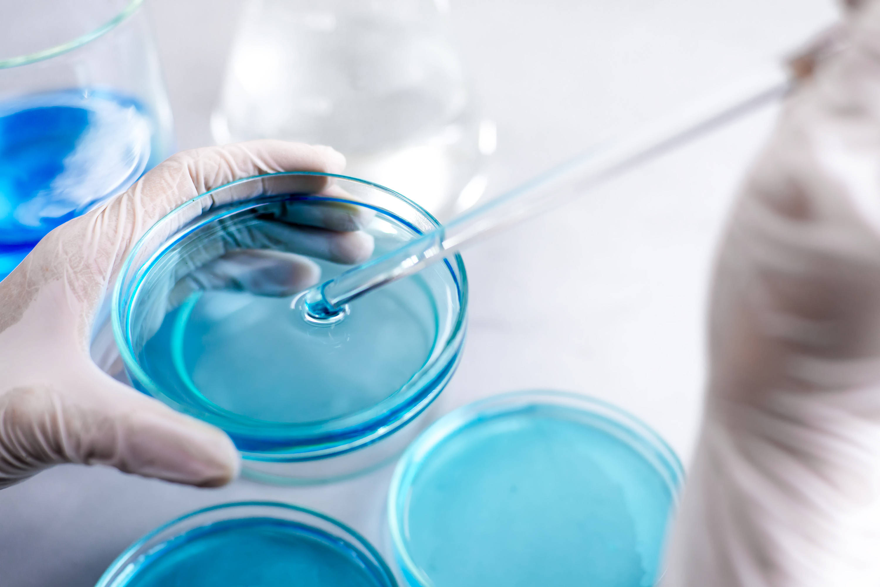 Sinusuportahan ng BABIO Buffered Peptone Water ang Maaasahang Food Pathogen Pre-Enrichment