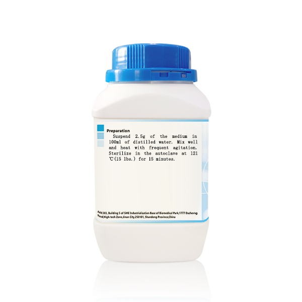 LB Agar Plate